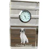 Art-Dog Klok – Clumber Spaniel