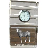 Art-Dog Klok – Canadees paard