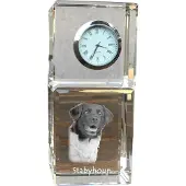 Art-Dog Klok – Stabyhoun