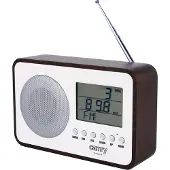 Camry CR1153 Digitale Radio - Wekker