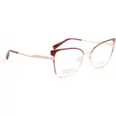 Ana Hickmann Optical Frame HI1253 07A 54