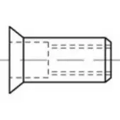 Toolcraft TO-5444256 Popmoer M5 Staal 500 stuk(s)