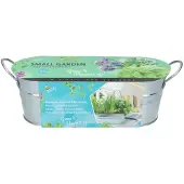 Buzzy Kruidenzaad In Teil Aromatisch 11 X 33 X 10 Cm