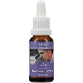 Hager Pharma GmbH Bachbloesem druppels N°41 - Concentratie 20ml