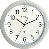 Technoline WT 8000 SILVER - Wandklok - Analoog - Rond - Kunststof Raam - Radiogestuurde tijdsaanduiding - Zilverkleurig
