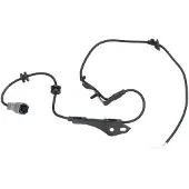 KAVO PARTS BAS-9146 Wielsnelheidssensor (ABS)