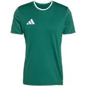 Adidas Functioneel shirt 'ENT26' groen / wit