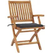 vidaXL Tuinstoelen 2 st met antracietkleurige kussens massief teakhout