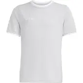 Adidas Functioneel shirt 'Entrada26' stone grey / wit