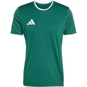 Adidas Functioneel shirt 'ENT26' groen / wit