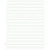 Exacompta 2000 listingbladen in zones verdeeld 240x11 niet afscheurbare Caroll banden papier 60g - Groen - 62211E