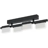 Eglo Ervidel, 4 lampen, LED, 1920 lumen, IP20, zwart, satijnstalen afwerking, transparant