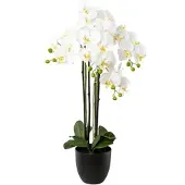 Gasper Kunstplant Vlinderorchidee Wit 4 takken 83 cm