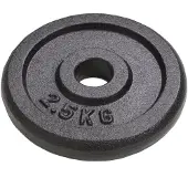 vidaXL Halterschijven 8 st 8x2,5 kg gietijzer