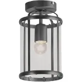 Steinhauer Plafondlamp Pimpernel 5973ZW Zwart Ø16 E27 fitting