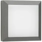 Albert Vierkante led buitenlamp Parel 32cm