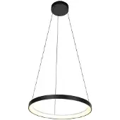Steinhauer Zwarte Hanglamp Circolare 4206ZW – Modern Design met Krachtige LED-Verlichting