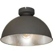 Artdelight Landelijke plafondlamp Curve Ø 31cm