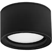 Lyora Ronde plafondlamp Focus Ø 10cm antraciet