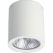 Albert Veranda verlichting Cylinder spot