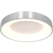 Steinhauer Plafondlamp Ringlede 48 cm zilver