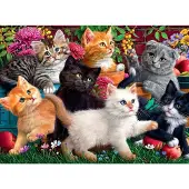 AnaTolian Anatolische kittens in actie, 260 stuks, Kunst, 12 jaar