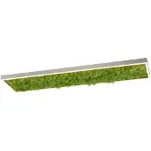 JUST LIGHT Rechthoekige Plafondlamp Green Knut Met Mos