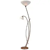 Masterlight Staanlamp Verona 1 met leeslicht