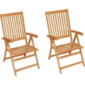 vidaXL Tuinstoelen 2 st met zwarte kussens massief teakhout