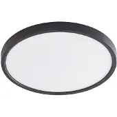 LINDBY Slimme plafondlamp Pravin, dimbaar, zwart, Woon-/ Eetkamer, Kunststof, Modern, Slimme plafondlamp
