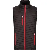 Regatta Professional Heren Gewatteerd Hybride Gilet (Zwart/Klassiek Rood)