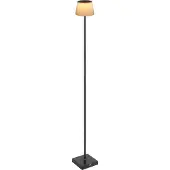 Globo Lighting LED vloerlamp touchdimmer USB buitenverlichting oplaadbare vloerlamp CCT, metaal kunststof bruin zwart, 4W 155Lm 3000K 4000K 5000K, H 120 cm