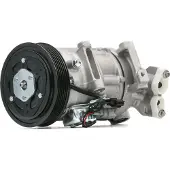 RIDEX 447K0571 Aircopomp