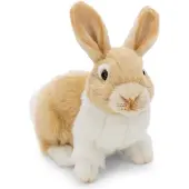 Nici Rabbit Teddy 20 Cm Beige Kinderen