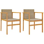 vidaXL Tuinstoelen 2 st poly rattan en massief hout beige