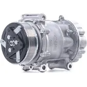RIDEX 447K0498 Aircopomp