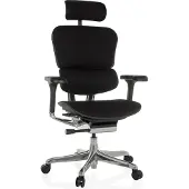 Hjh OFFICE Bureaustoel / directiestoel ERGOHUMAN GEN2 stof zwart