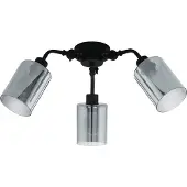 Eglo Plafondlamp FORESTBURG (1 stuk)
