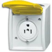 Busch-Jaeger 2CKA002124A0023 Nema-stopcontact Inzetstuk Zink-geel, Geel 1 stuk(s)