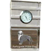 Art-Dog Klok – Portugese waterhond