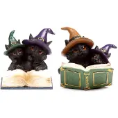 Puckator Heksen Zwarte Kat Magical Spell Book