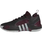 Adidas Sportschoen 'D.O.N. Issue 5' grijs / bordeaux / zwart