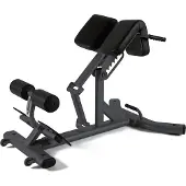 Toorx Professional WBX-B2600 Back Extension