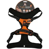 Spotted! Pro Harnas Oranje L