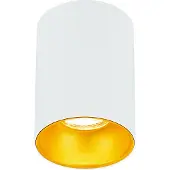 EDO Opbouwspot GU10 rond incl. fitting (Wit/Goud, 11cm hoog)