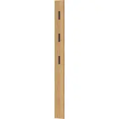 Germania Garderobepaneel 3728 - MDF melaminehars gecoat - B 150 x D 30 x H 1700 mm -3 uitklapbare haken - eiken