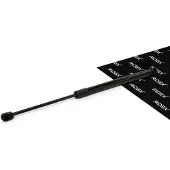 RIDEX 219G1468 Gasveer achterklep