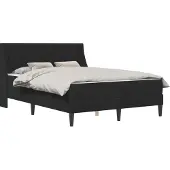 vidaXL Bedframe met matras met matras Zwart 120 x 190 cm Fluweel