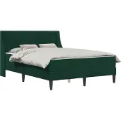 vidaXL Bedframe met matras met matras Donkergroen 120 x 190 cm Fluweel