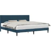 vidaXL Bedframe met hoofdeinde Blauw 200 x 200 cm Fluweel